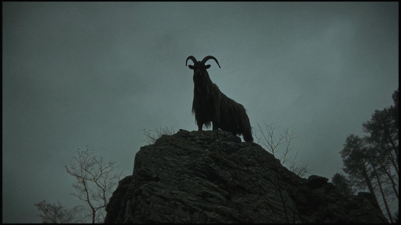 Misero Soffio Misera Carne